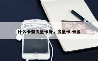 什么卡盟流量卡号，流量卡 卡盟