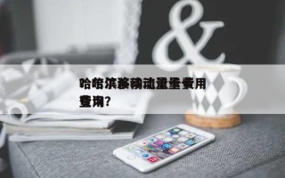 哈尔滨移动流量卡费用？哈尔滨移动流量卡费用查询？