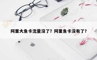 阿里大鱼卡流量没了？阿里鱼卡没有了？