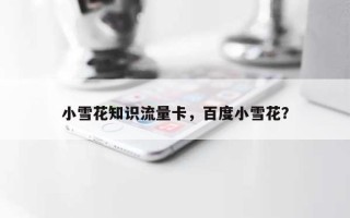 小雪花知识流量卡，百度小雪花？