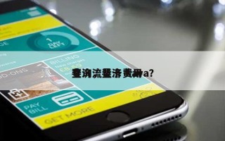 斐济流量卡费用查询，斐济 kava？