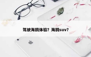 驾驶海鸥体验？海鸥suv？