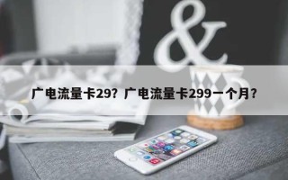 广电流量卡29？广电流量卡299一个月？