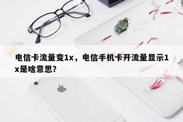 电信卡流量变1x，电信手机卡开流量显示1x是啥意思？-第1张图片