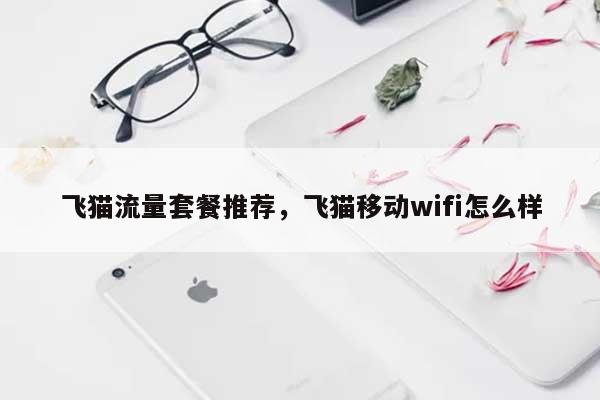 飞猫流量套餐推荐，飞猫移动wifi怎么样-第1张图片