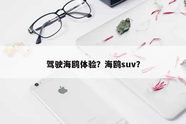 驾驶海鸥体验？海鸥suv？-第1张图片