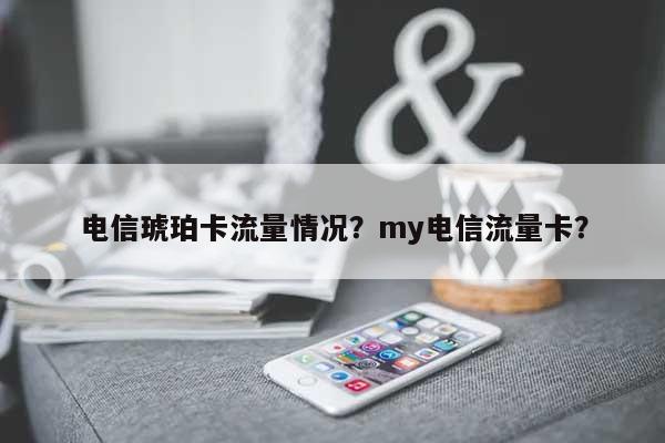 电信琥珀卡流量情况？my电信流量卡？-第1张图片