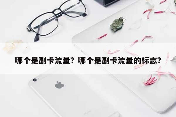 哪个是副卡流量？哪个是副卡流量的标志？-第1张图片