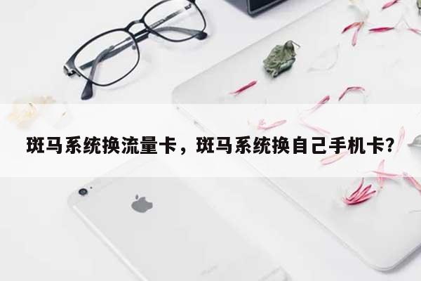 斑马系统换流量卡，斑马系统换自己手机卡？-第1张图片
