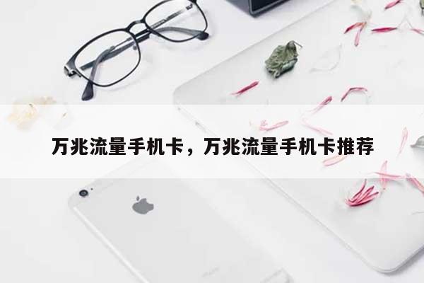 万兆流量手机卡，万兆流量手机卡推荐-第1张图片