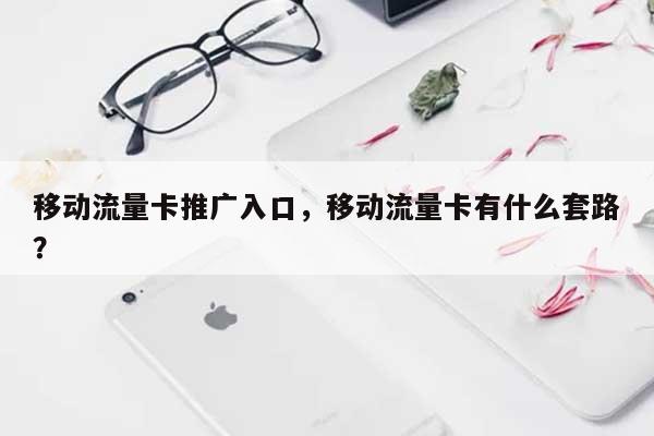 移动流量卡推广入口,移动流量卡有什么套路?-第1张图片 移动流量卡推广入口,移动流量卡有什么套路?-第1张图片